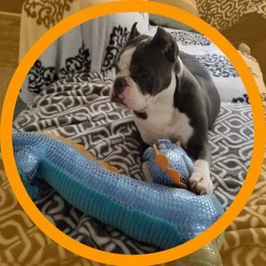 Meet your Posher, Jerry